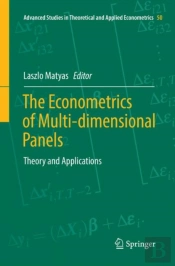 The Econometrics Of Multi-Dimensional Panels