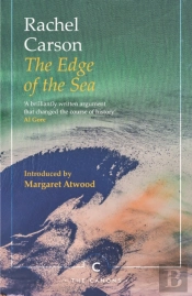 The Edge Of The Sea