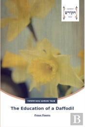 The Education Of A Daffodil