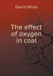 The Effect Of Oxygen In Coal