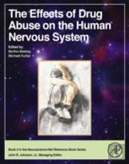 The Effects Of Drug Abuse On The Human Nervous System