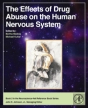 The Effects Of Drug Abuse On The Human Nervous System