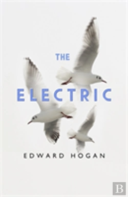Bertrand.pt - The Electric