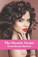 The Electric Groin