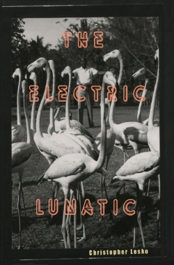 Bertrand.pt - The Electric Lunatic
