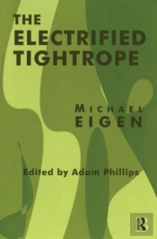 The Electrified Tightrope