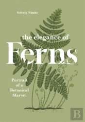 The Elegance Of Ferns