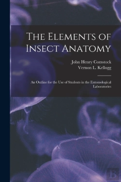 Bertrand.pt - The Elements Of Insect Anatomy : An Outl