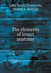 The Elements Of Insect Anatomy
