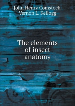 Bertrand.pt - The Elements Of Insect Anatomy