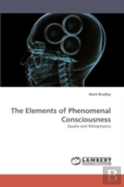 The Elements Of Phenomenal Consciousness