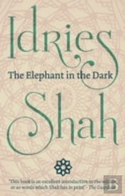 The Elephant In The Dark