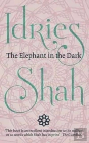 The Elephant In The Dark