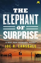 The Elephant Of Surprise