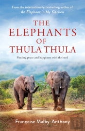 The Elephants Of Thula Thula