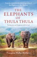 The Elephants Of Thula Thula