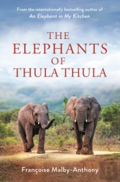The Elephants Of Thula Thula