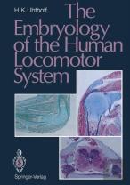 The Embryology Of The Human Locomotor System