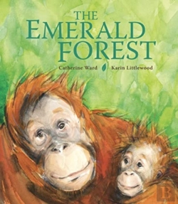 Bertrand.pt - The Emerald Forest