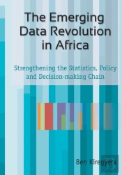 The Emerging Data Revolution In Africa