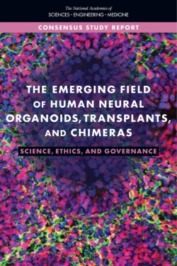 Bertrand.pt - The Emerging Field Of Human Neural Organoids, Transplants, And Chimeras