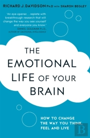 The Emotional Life Of Your Brain