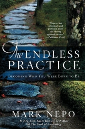 The Endless Practice