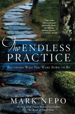 Bertrand.pt - The Endless Practice