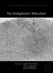 The Endoplasmic Reticulum
