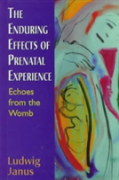The Enduring Effects Of Prenatal Experience