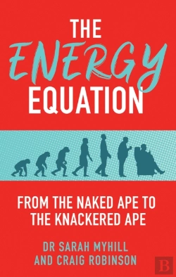 Bertrand.pt - The Energy Equation