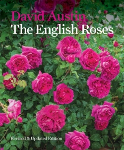 Bertrand.pt - The English Roses
