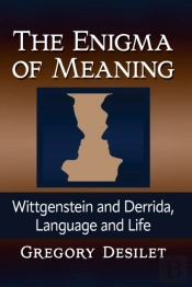 The Enigma Of Meaning