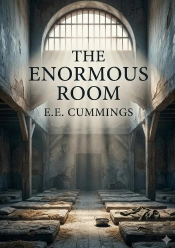 The Enormous Room - By E E Cummings