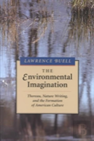 The Environmental Imagination