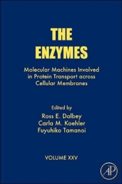 The Enzymes