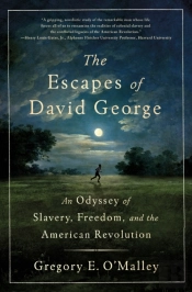 The Escapes Of David George