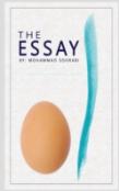 The Essay