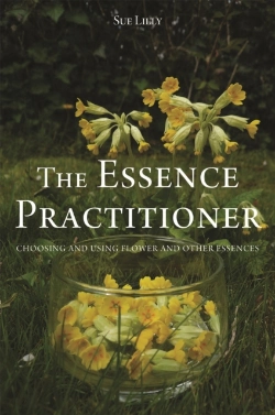 Bertrand.pt - The Essence Practitioner