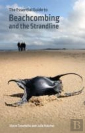 The Essential Guide To Beachcombing And The Strandline
