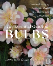 The Essential Guide To Bulbs