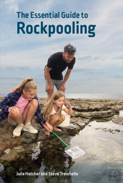 Bertrand.pt - The Essential Guide To Rockpooling