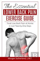 The Essential Lower Back Pain Exercise Guide