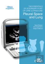 The Essentials Of Veterinary Point Of Care Ultrasound: Pleural Space And Lung