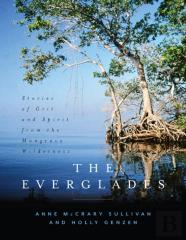 The Everglades