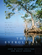 The Everglades