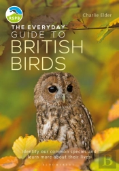 The Everyday Guide To British Birds