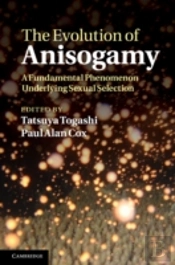 The Evolution Of Anisogamy