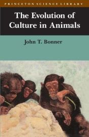 The Evolution Of Culture In Animals