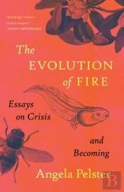 The Evolution Of Fire